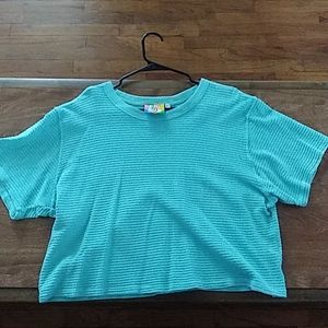 Big Bud Press Cropped Honeycomb Tee XL Sage Green